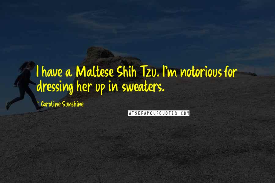 Caroline Sunshine Quotes: I have a Maltese Shih Tzu. I'm notorious for dressing her up in sweaters.