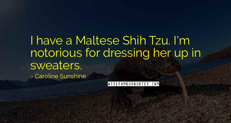 Caroline Sunshine Quotes: I have a Maltese Shih Tzu. I'm notorious for dressing her up in sweaters.