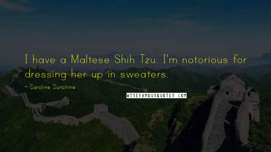 Caroline Sunshine Quotes: I have a Maltese Shih Tzu. I'm notorious for dressing her up in sweaters.