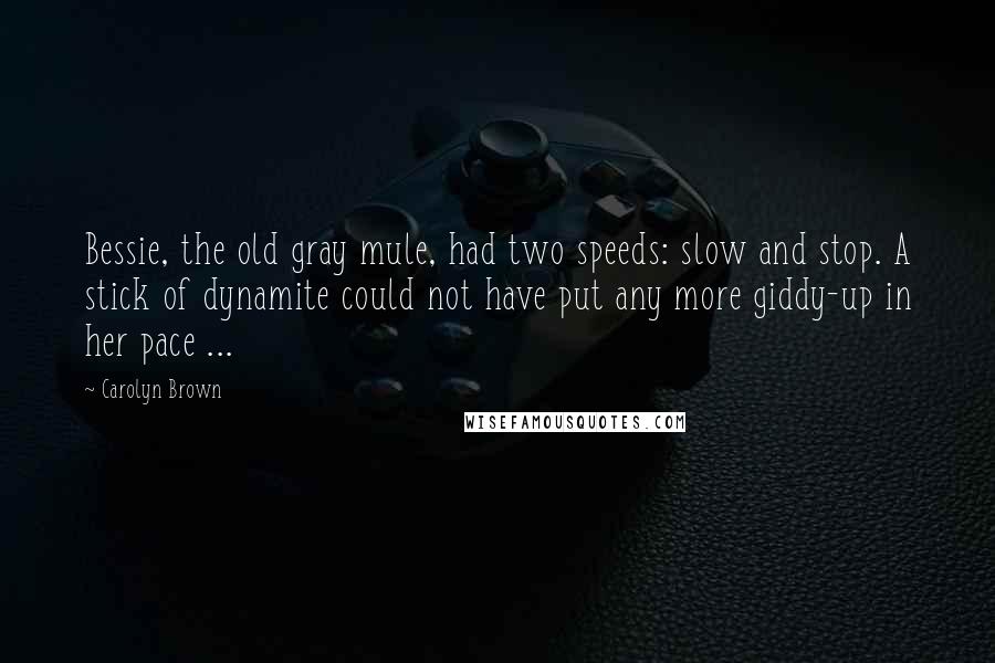 Carolyn Brown Quotes: Bessie, the old gray mule, had two speeds: slow and stop. A stick of dynamite could not have put any more giddy-up in her pace ...