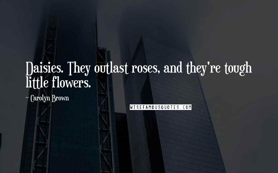 Carolyn Brown Quotes: Daisies. They outlast roses, and they're tough little flowers.