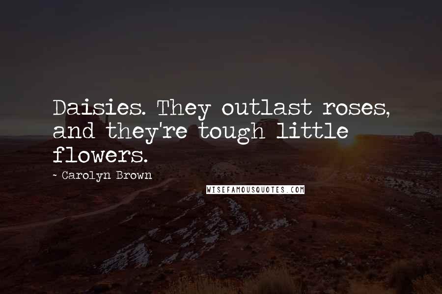 Carolyn Brown Quotes: Daisies. They outlast roses, and they're tough little flowers.