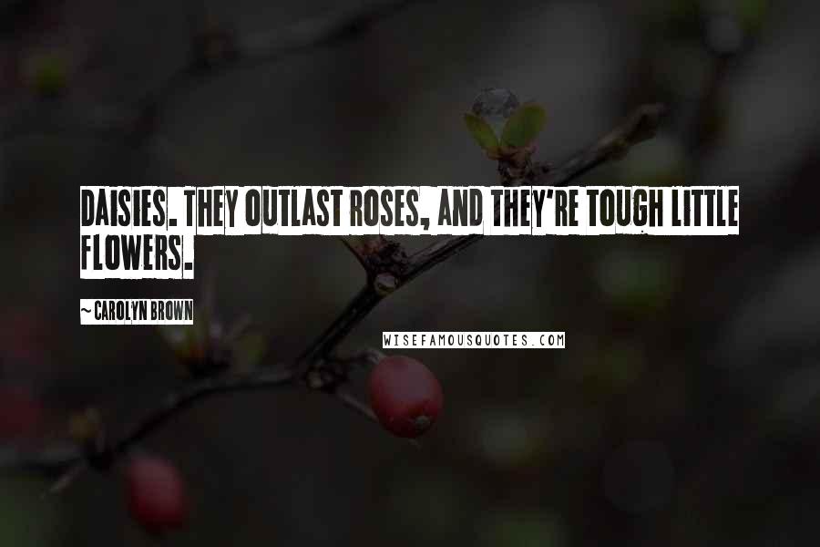 Carolyn Brown Quotes: Daisies. They outlast roses, and they're tough little flowers.