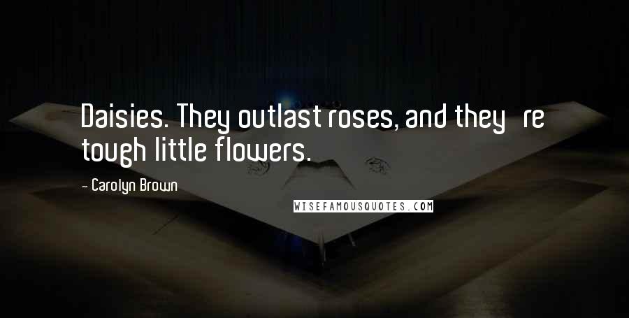 Carolyn Brown Quotes: Daisies. They outlast roses, and they're tough little flowers.