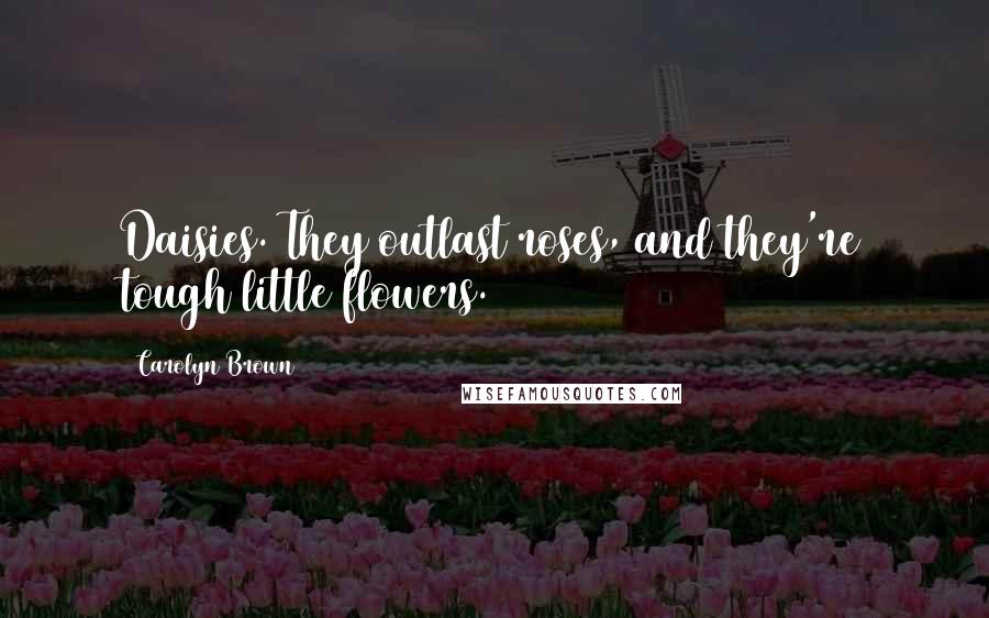 Carolyn Brown Quotes: Daisies. They outlast roses, and they're tough little flowers.