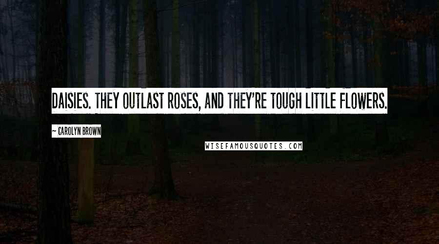 Carolyn Brown Quotes: Daisies. They outlast roses, and they're tough little flowers.