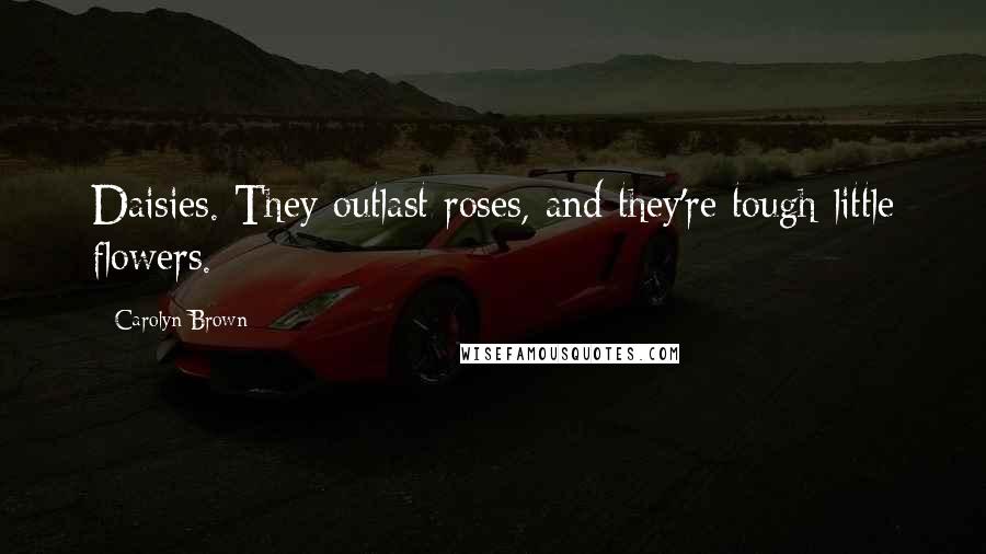 Carolyn Brown Quotes: Daisies. They outlast roses, and they're tough little flowers.