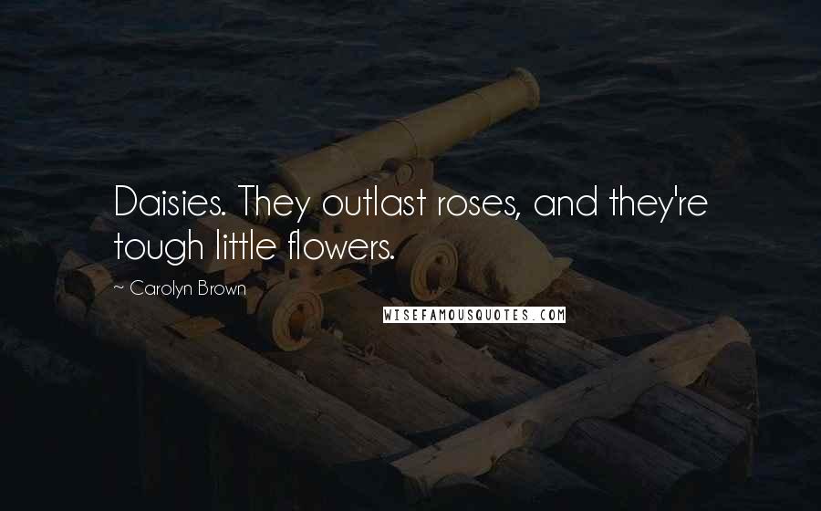 Carolyn Brown Quotes: Daisies. They outlast roses, and they're tough little flowers.