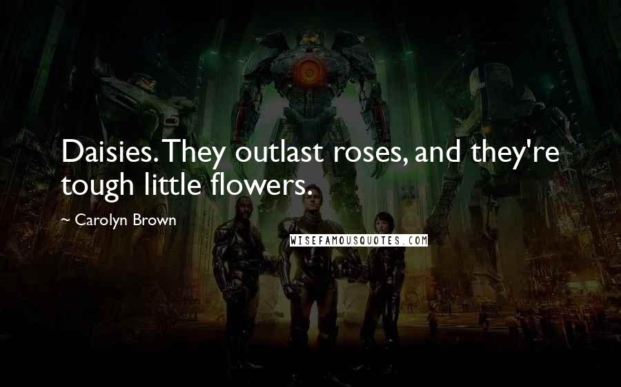 Carolyn Brown Quotes: Daisies. They outlast roses, and they're tough little flowers.