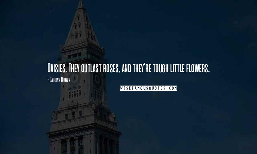 Carolyn Brown Quotes: Daisies. They outlast roses, and they're tough little flowers.