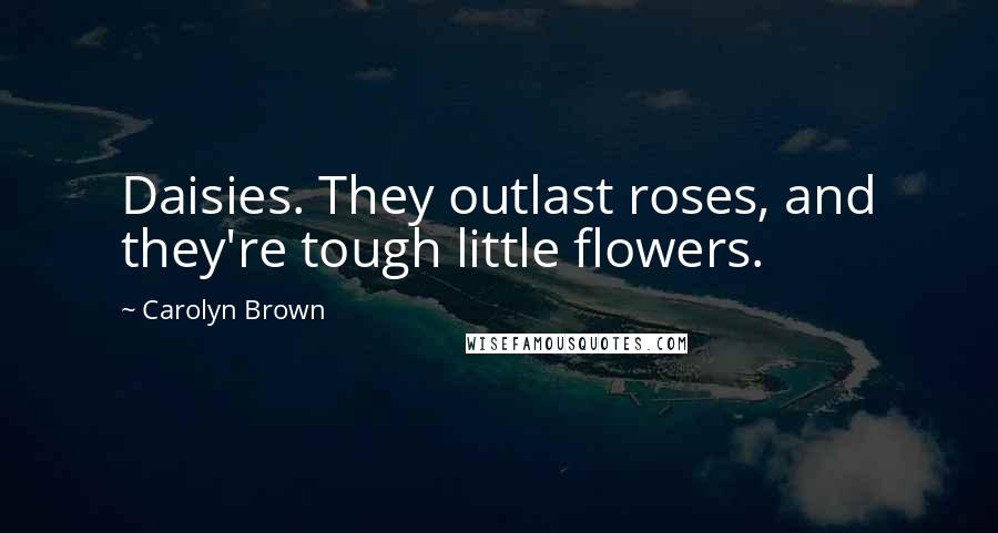 Carolyn Brown Quotes: Daisies. They outlast roses, and they're tough little flowers.
