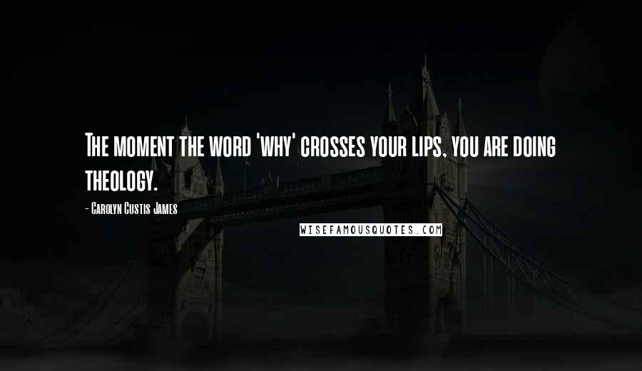 Carolyn Custis James Quotes: The moment the word 'why' crosses your lips, you are doing theology.