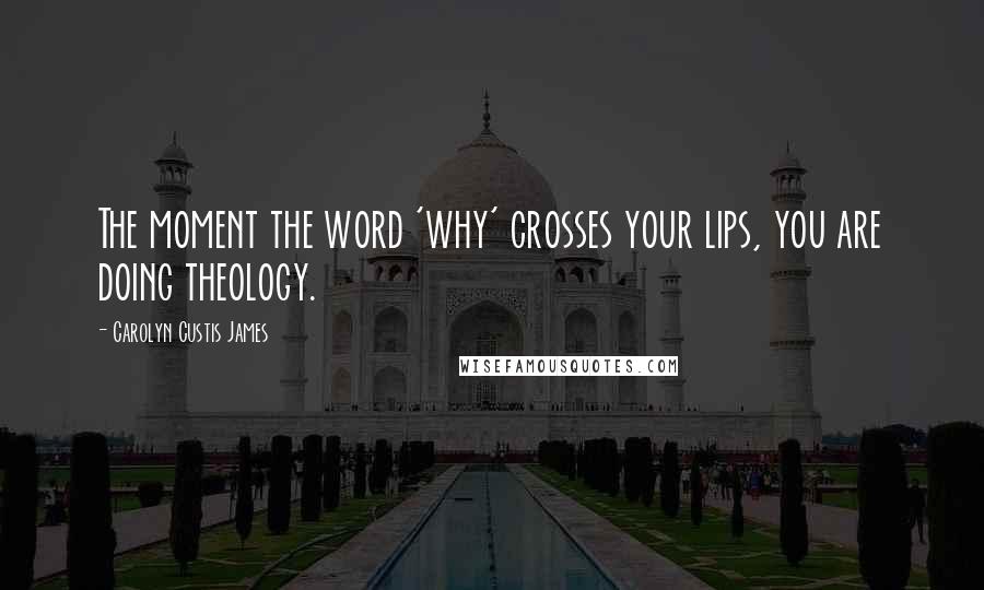 Carolyn Custis James Quotes: The moment the word 'why' crosses your lips, you are doing theology.