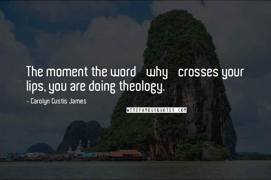 Carolyn Custis James Quotes: The moment the word 'why' crosses your lips, you are doing theology.