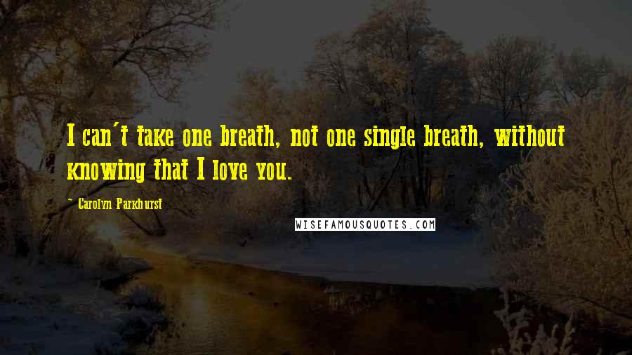 Carolyn Parkhurst Quotes: I can't take one breath, not one single breath, without knowing that I love you.