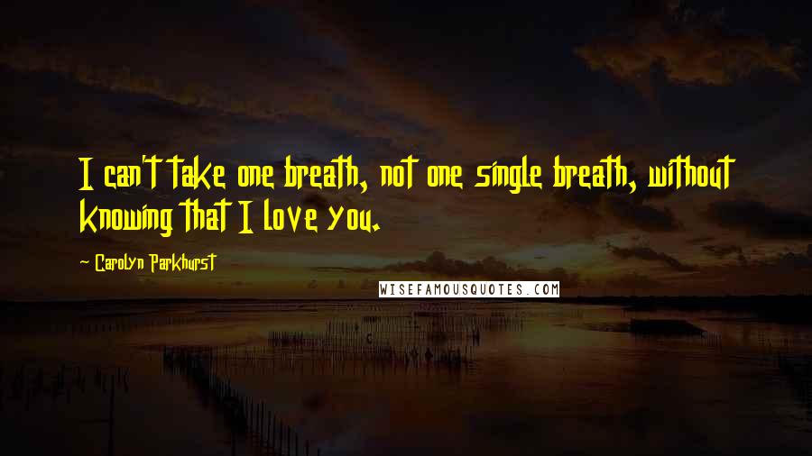 Carolyn Parkhurst Quotes: I can't take one breath, not one single breath, without knowing that I love you.