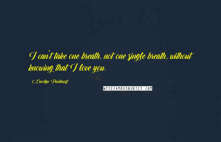 Carolyn Parkhurst Quotes: I can't take one breath, not one single breath, without knowing that I love you.