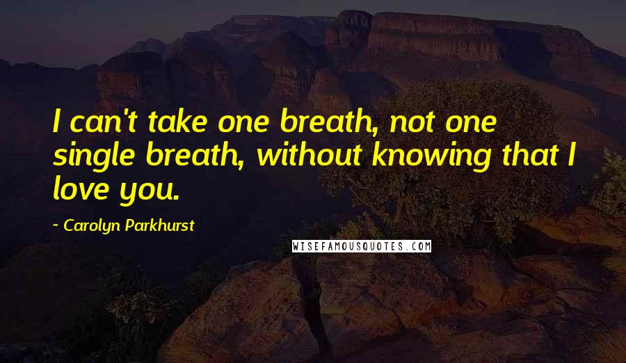 Carolyn Parkhurst Quotes: I can't take one breath, not one single breath, without knowing that I love you.