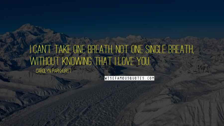 Carolyn Parkhurst Quotes: I can't take one breath, not one single breath, without knowing that I love you.