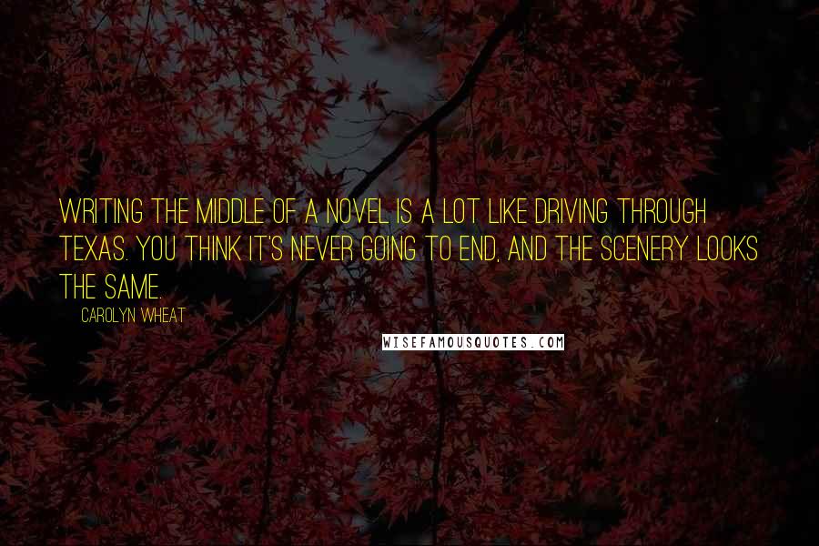 Carolyn Wheat Quotes: Writing the middle of a novel is a lot like driving through Texas. You think it's never going to end, and the scenery looks the same.