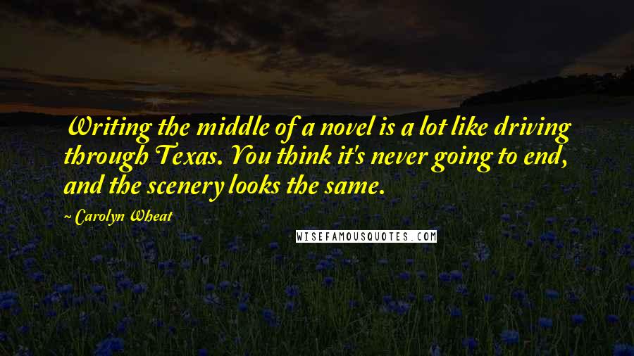 Carolyn Wheat Quotes: Writing the middle of a novel is a lot like driving through Texas. You think it's never going to end, and the scenery looks the same.