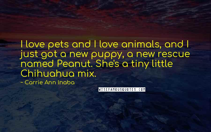 Carrie Ann Inaba Quotes: I love pets and I love animals, and I just got a new puppy, a new rescue named Peanut. She's a tiny little Chihuahua mix.