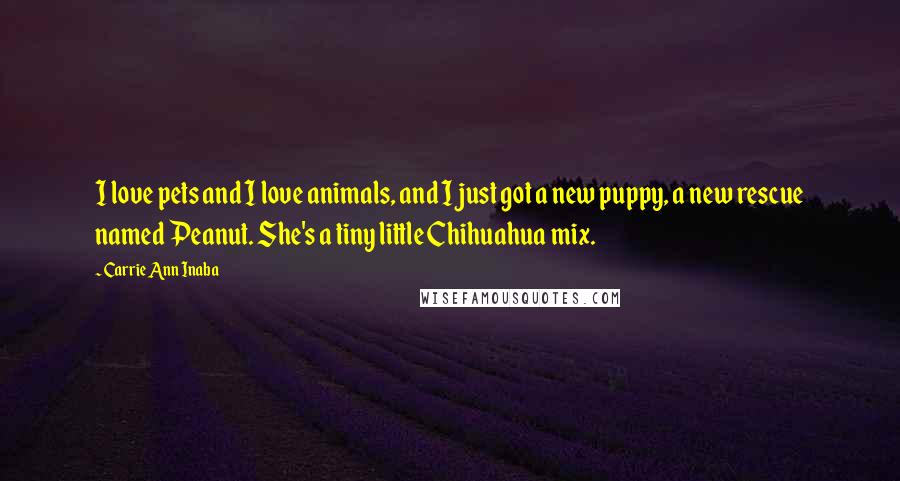 Carrie Ann Inaba Quotes: I love pets and I love animals, and I just got a new puppy, a new rescue named Peanut. She's a tiny little Chihuahua mix.