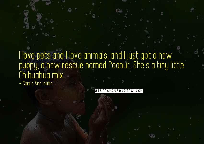 Carrie Ann Inaba Quotes: I love pets and I love animals, and I just got a new puppy, a new rescue named Peanut. She's a tiny little Chihuahua mix.