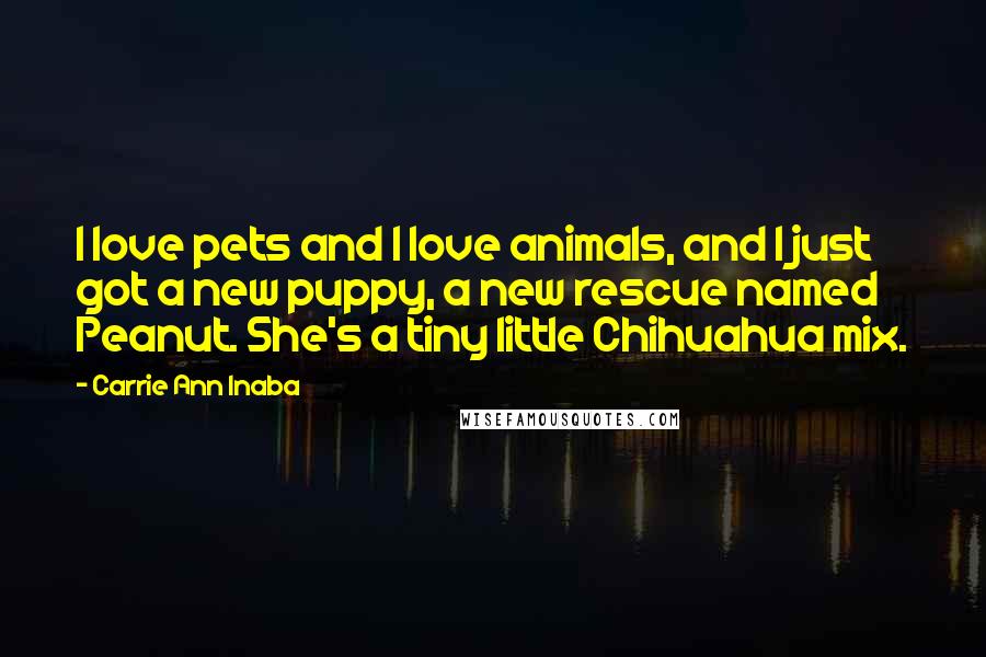 Carrie Ann Inaba Quotes: I love pets and I love animals, and I just got a new puppy, a new rescue named Peanut. She's a tiny little Chihuahua mix.