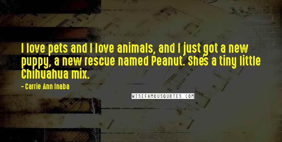 Carrie Ann Inaba Quotes: I love pets and I love animals, and I just got a new puppy, a new rescue named Peanut. She's a tiny little Chihuahua mix.