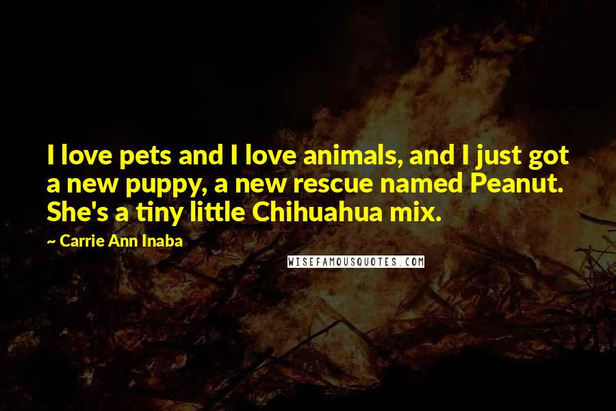 Carrie Ann Inaba Quotes: I love pets and I love animals, and I just got a new puppy, a new rescue named Peanut. She's a tiny little Chihuahua mix.