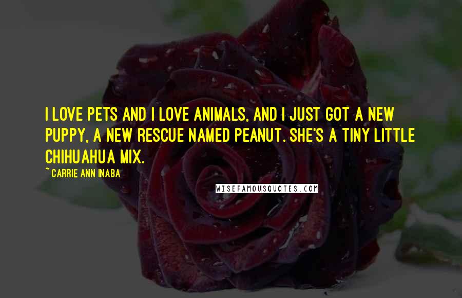 Carrie Ann Inaba Quotes: I love pets and I love animals, and I just got a new puppy, a new rescue named Peanut. She's a tiny little Chihuahua mix.