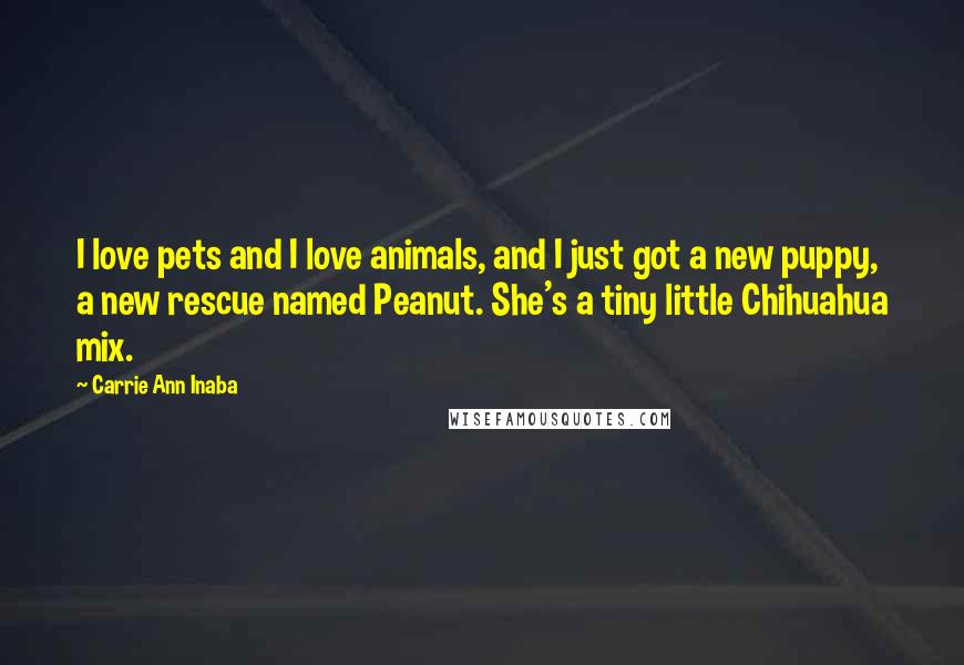 Carrie Ann Inaba Quotes: I love pets and I love animals, and I just got a new puppy, a new rescue named Peanut. She's a tiny little Chihuahua mix.