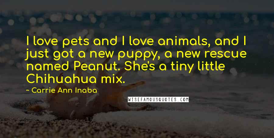 Carrie Ann Inaba Quotes: I love pets and I love animals, and I just got a new puppy, a new rescue named Peanut. She's a tiny little Chihuahua mix.