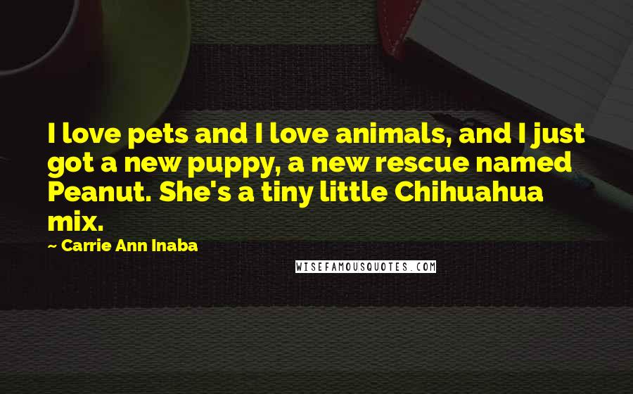 Carrie Ann Inaba Quotes: I love pets and I love animals, and I just got a new puppy, a new rescue named Peanut. She's a tiny little Chihuahua mix.