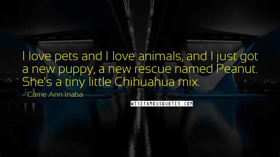 Carrie Ann Inaba Quotes: I love pets and I love animals, and I just got a new puppy, a new rescue named Peanut. She's a tiny little Chihuahua mix.