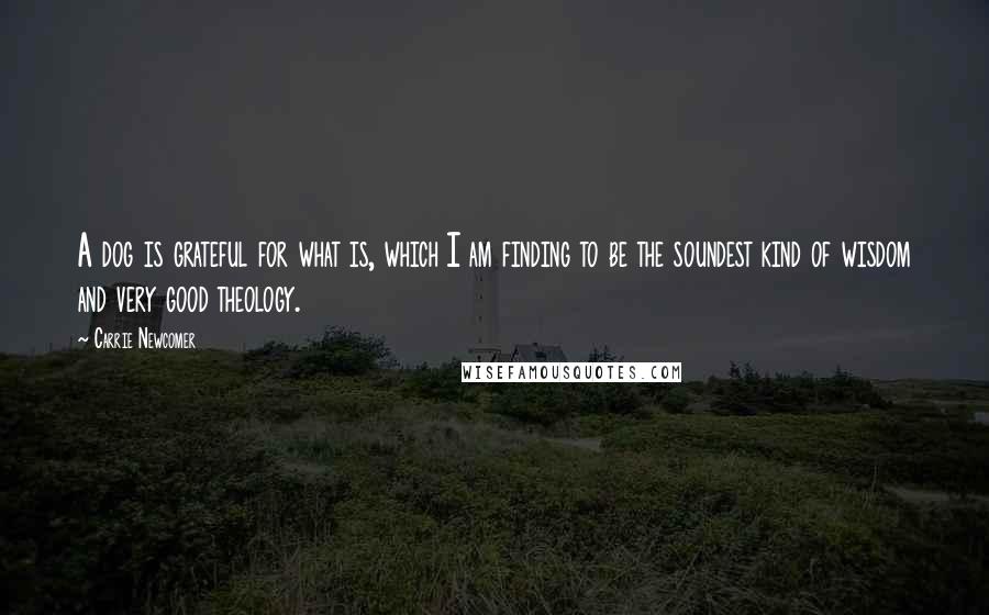Carrie Newcomer Quotes: A dog is grateful for what is, which I am finding to be the soundest kind of wisdom and very good theology.