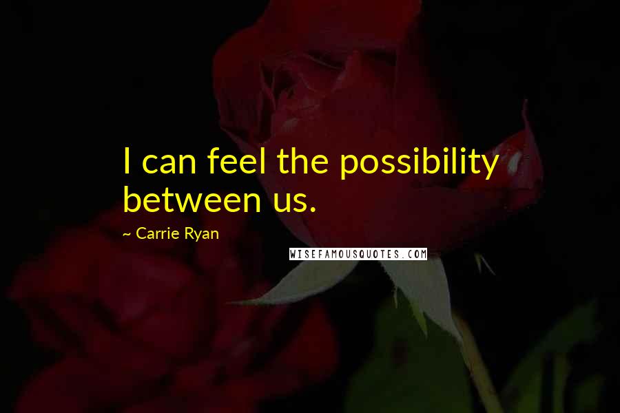 Carrie Ryan Quotes: I can feel the possibility between us.