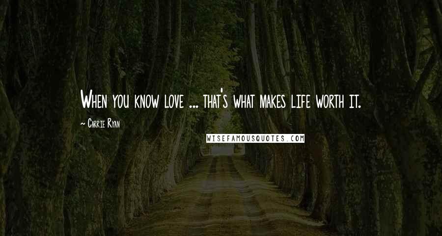 Carrie Ryan Quotes: When you know love ... that's what makes life worth it.