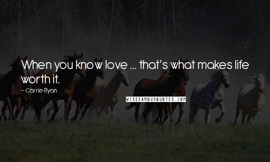 Carrie Ryan Quotes: When you know love ... that's what makes life worth it.