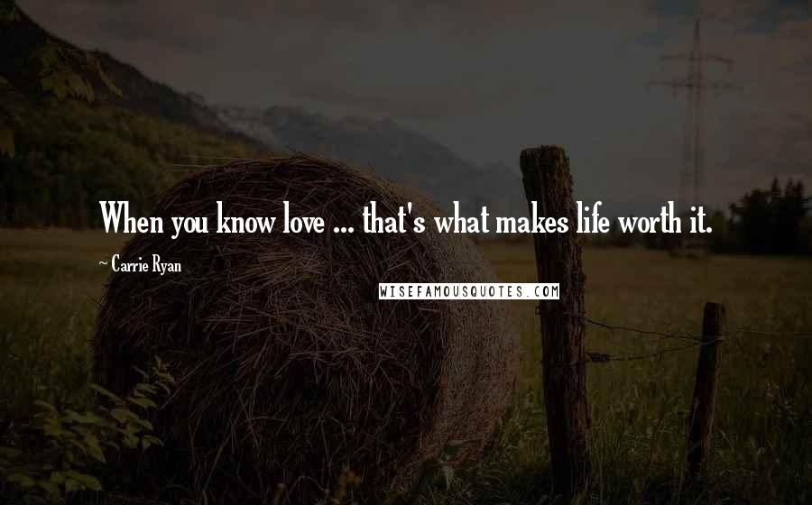 Carrie Ryan Quotes: When you know love ... that's what makes life worth it.