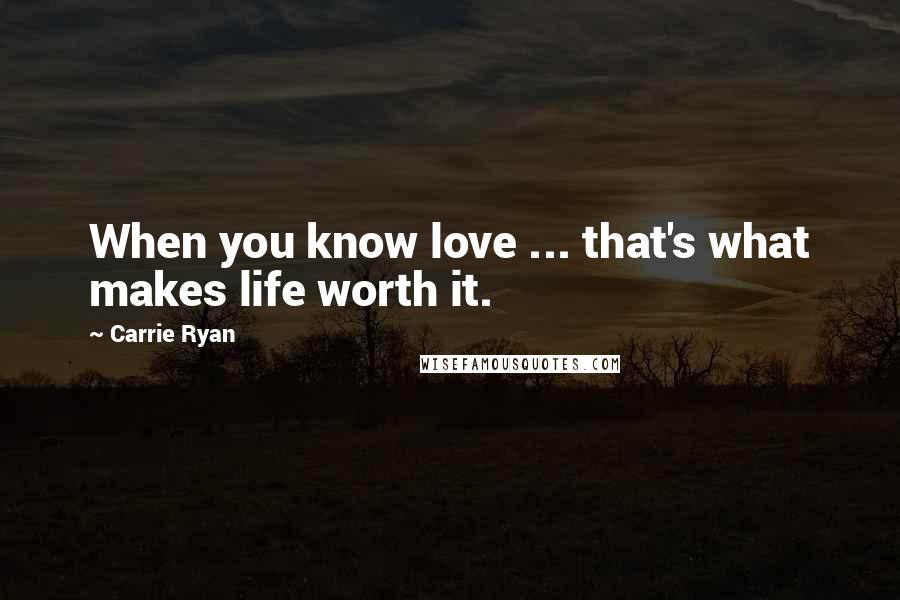 Carrie Ryan Quotes: When you know love ... that's what makes life worth it.