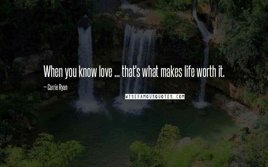 Carrie Ryan Quotes: When you know love ... that's what makes life worth it.