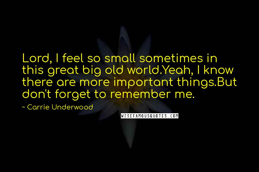 Carrie Underwood Quotes: Lord, I feel so small sometimes in this great big old world.Yeah, I know there are more important things.But don't forget to remember me.