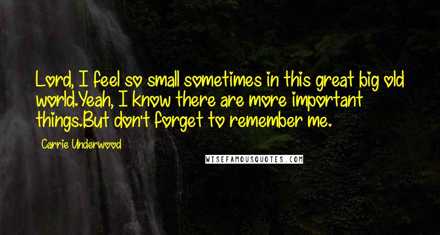 Carrie Underwood Quotes: Lord, I feel so small sometimes in this great big old world.Yeah, I know there are more important things.But don't forget to remember me.