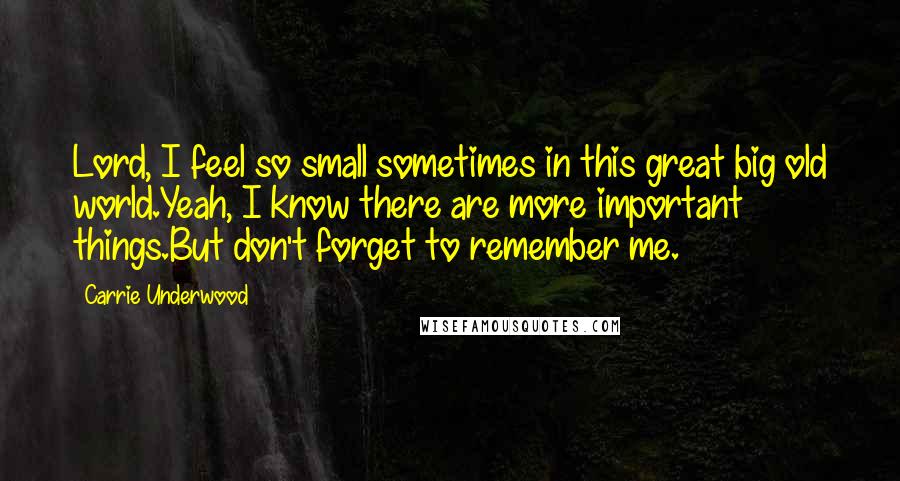 Carrie Underwood Quotes: Lord, I feel so small sometimes in this great big old world.Yeah, I know there are more important things.But don't forget to remember me.