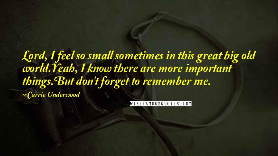 Carrie Underwood Quotes: Lord, I feel so small sometimes in this great big old world.Yeah, I know there are more important things.But don't forget to remember me.