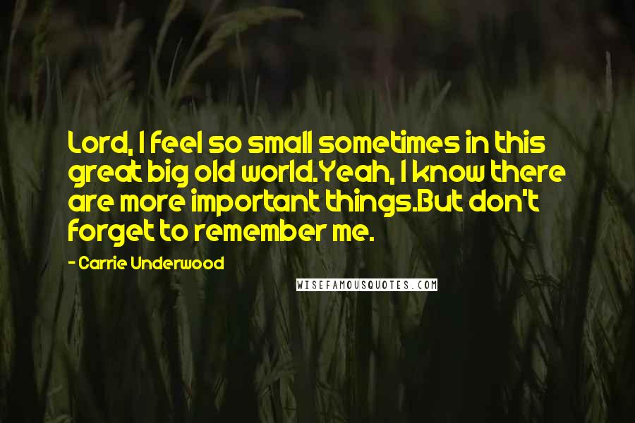 Carrie Underwood Quotes: Lord, I feel so small sometimes in this great big old world.Yeah, I know there are more important things.But don't forget to remember me.