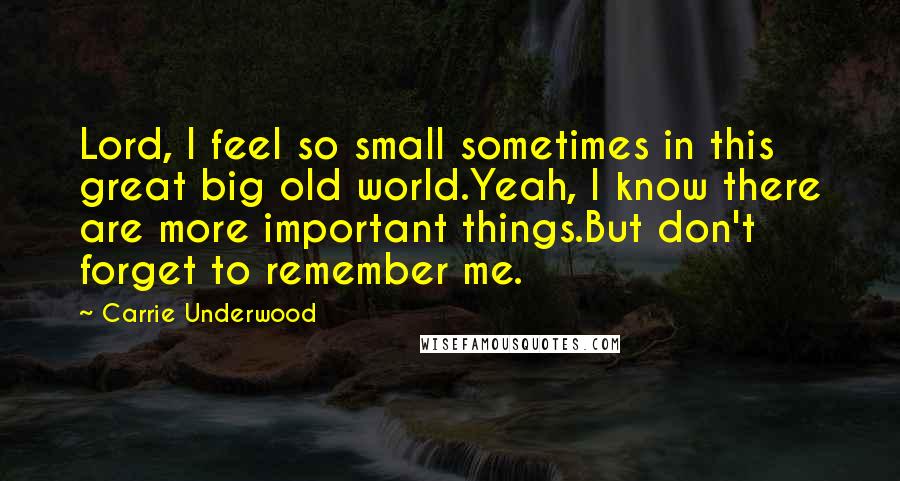 Carrie Underwood Quotes: Lord, I feel so small sometimes in this great big old world.Yeah, I know there are more important things.But don't forget to remember me.