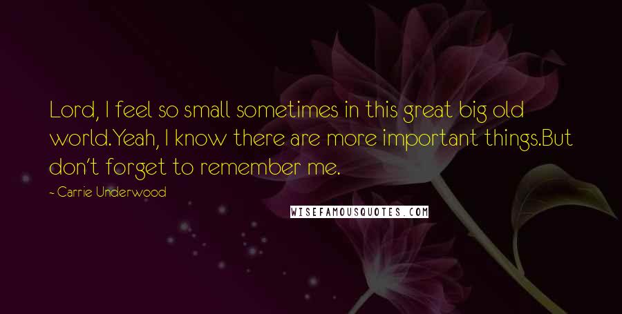 Carrie Underwood Quotes: Lord, I feel so small sometimes in this great big old world.Yeah, I know there are more important things.But don't forget to remember me.